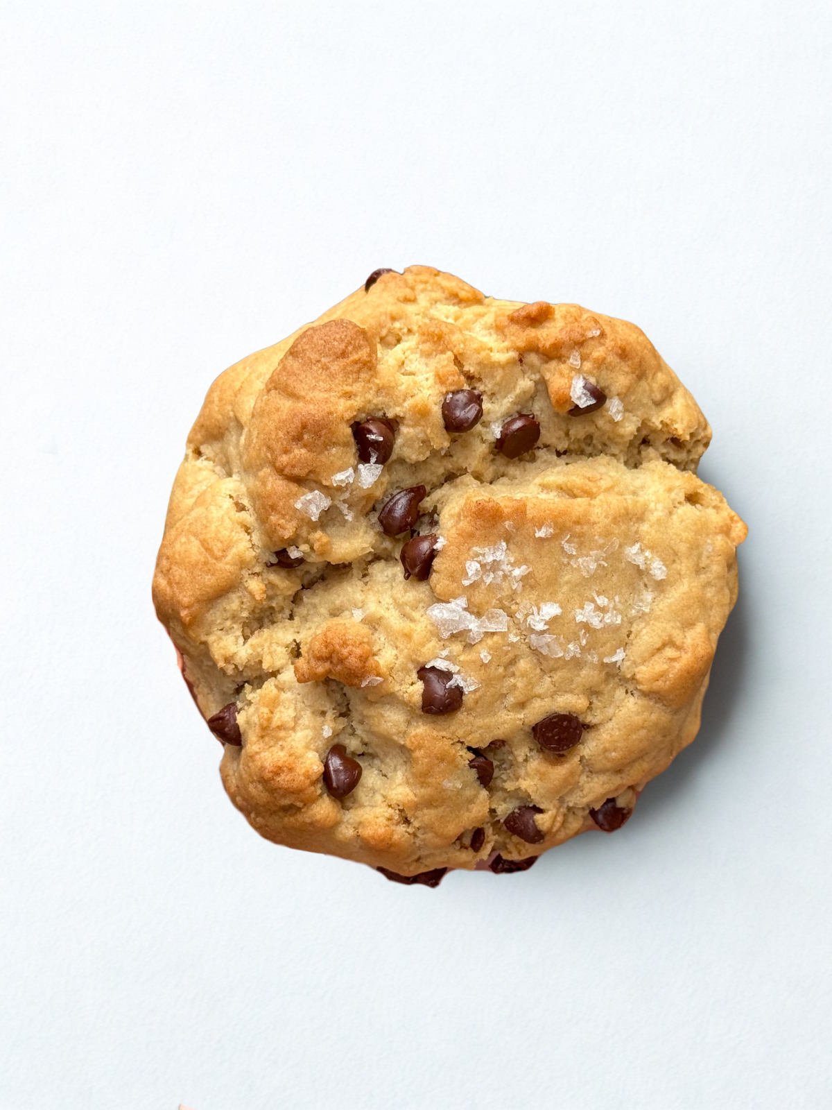 Salted Chocolate Chip